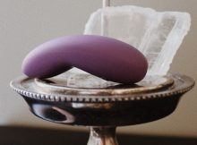 LELO Lily 2 is a small, palm-sized vibrator